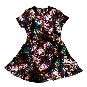 Floral Fit Flare Dress Women L 12 14 A Line Black Pink Party Print Who What Wear